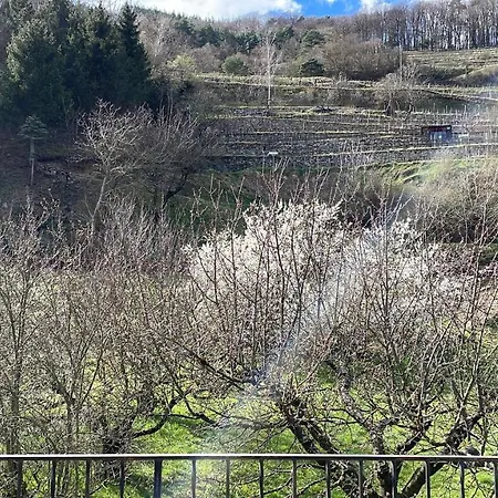 Top Ferienhaus Bei Spitz / Wachau Schwallenbach Buitenkant foto